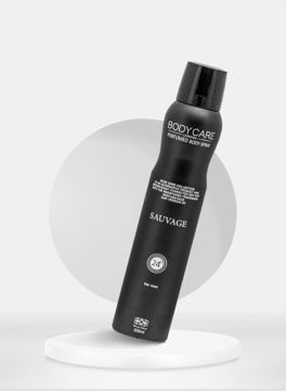 اسپری عطر مردانه دیور ساواج بادی کر